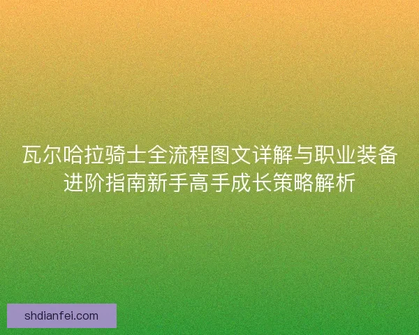 瓦尔哈拉骑士全流程图文详解与职业装备进阶指南新手高手成长策略解析