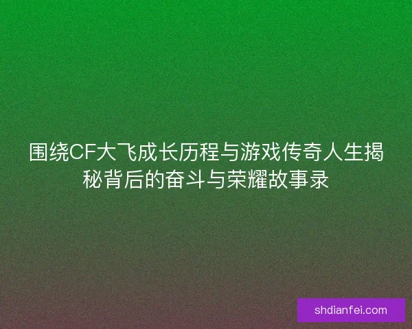 围绕CF大飞成长历程与游戏传奇人生揭秘背后的奋斗与荣耀故事录