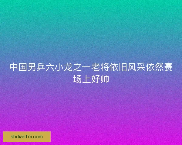 中国男乒六小龙之一老将依旧风采依然赛场上好帅