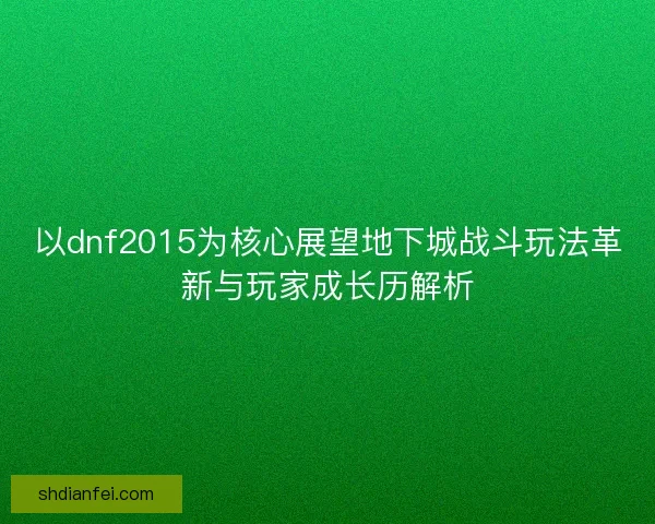 以dnf2015为核心展望地下城战斗玩法革新与玩家成长历解析