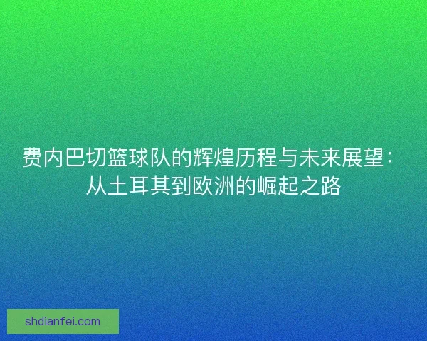 费内巴切篮球队的辉煌历程与未来展望:从土耳其到欧洲的崛起之路 费内巴切篮球队的辉煌历程与未来展望:从土耳其到欧洲的崛起之路